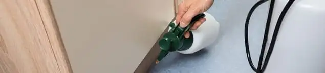 Bed bug exterminator treating baseboards and cracks with targeted spray in South Bend, IN