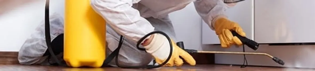 Roach exterminator treating cracks and crevices along kitchen baseboards in South Bend, IN