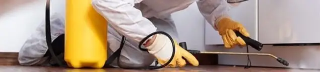 Roach exterminator treating cracks and crevices along kitchen baseboards in South Bend, IN