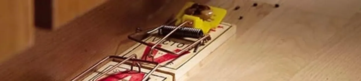 Rodent trap set indoors for rodent control and prevention in South Bend, IN